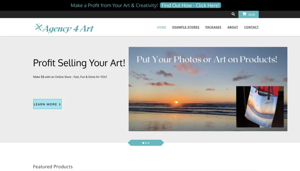 Agency 4 Art Website Screen shot